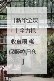 新华全媒+丨全力抢收夏粮 确保颗粒归仓