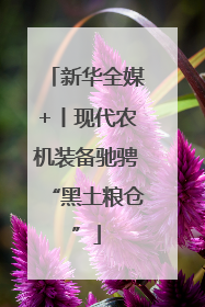 新华全媒+丨现代农机装备驰骋“黑土粮仓”