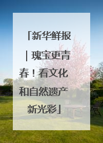 新华鲜报｜瑰宝更青春！看文化和自然遗产新光彩