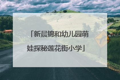 新晨锦和幼儿园萌娃探秘莲花街小学