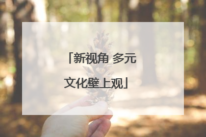 新视角 多元文化壁上观
