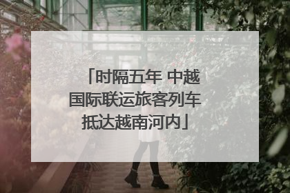 时隔五年 中越国际联运旅客列车抵达越南河内