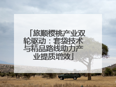 旅顺樱桃产业双轮驱动：套袋技术与精品路线助力产业提质增效