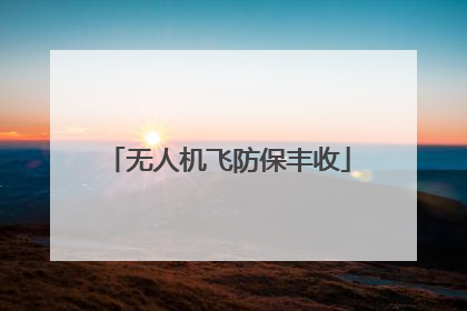 无人机飞防保丰收