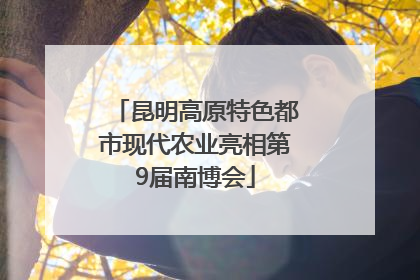 昆明高原特色都市现代农业亮相第9届南博会