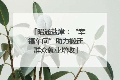昭通盐津：“幸福车间”助力搬迁群众就业增收