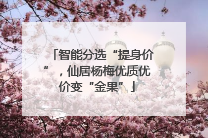 智能分选“提身价”，仙居杨梅优质优价变“金果”