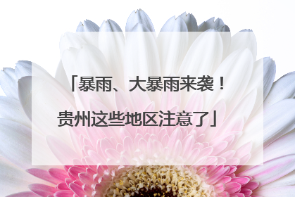 暴雨、大暴雨来袭！贵州这些地区注意了