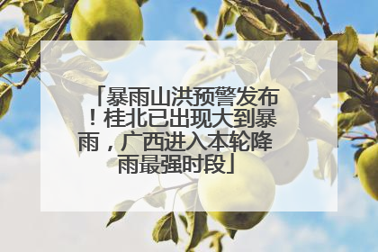 暴雨山洪预警发布！桂北已出现大到暴雨，广西进入本轮降雨最强时段