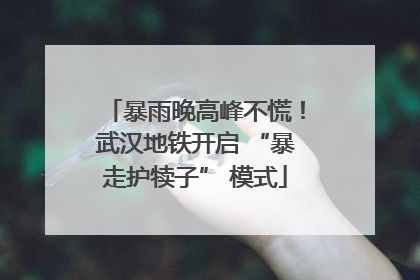 暴雨晚高峰不慌！武汉地铁开启 “暴走护犊子” 模式