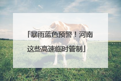暴雨蓝色预警！河南这些高速临时管制
