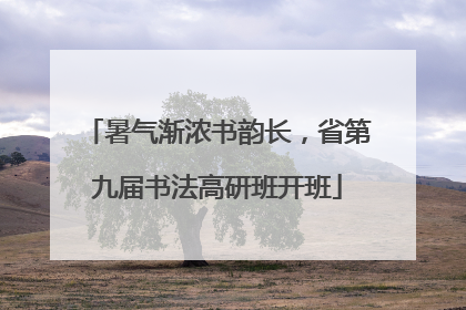 暑气渐浓书韵长，省第九届书法高研班开班