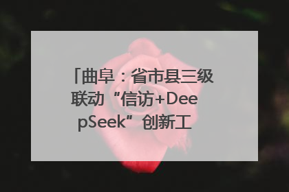 曲阜：省市县三级联动“信访+DeepSeek”创新工作新闻发布会举行