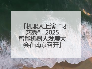 机器人上演“才艺秀” 2025智能机器人发展大会在南京召开