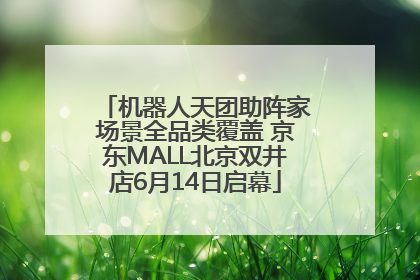 机器人天团助阵家场景全品类覆盖 京东MALL北京双井店6月14日启幕