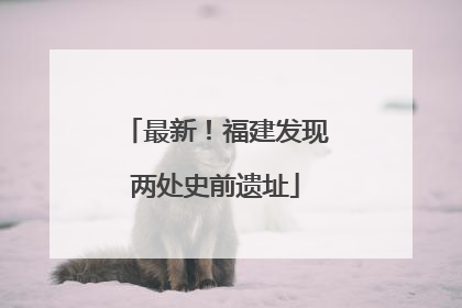 最新！福建发现两处史前遗址