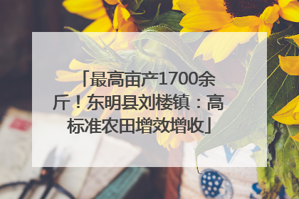 最高亩产1700余斤！东明县刘楼镇：高标准农田增效增收