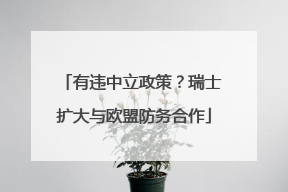 有违中立政策？瑞士扩大与欧盟防务合作