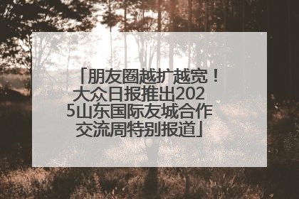朋友圈越扩越宽！大众日报推出2025山东国际友城合作交流周特别报道