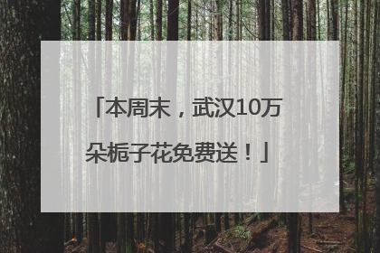 本周末，武汉10万朵栀子花免费送！