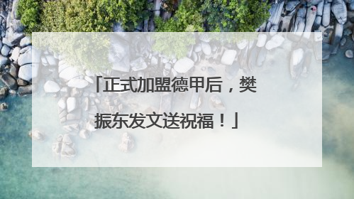 正式加盟德甲后，樊振东发文送祝福！