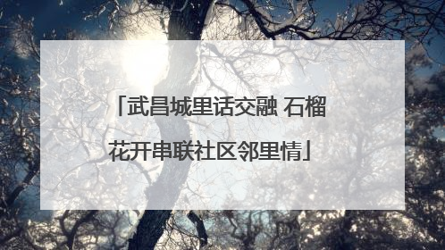 武昌城里话交融 石榴花开串联社区邻里情
