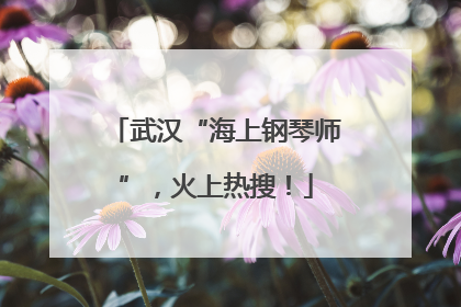 武汉“海上钢琴师”，火上热搜！