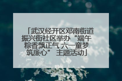 武汉经开区邓南街道振兴街社区举办“端午粽香飘正气 六一童梦筑廉心” 主题活动