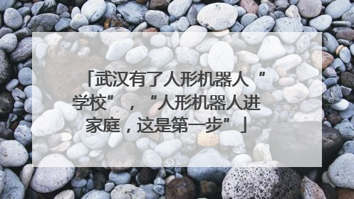 武汉有了人形机器人“学校”，“人形机器人进家庭，这是第一步”