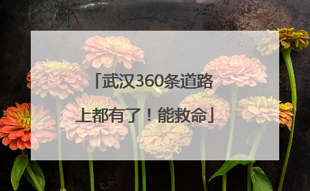 武汉360条道路上都有了！能救命