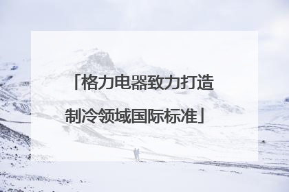 格力电器致力打造制冷领域国际标准