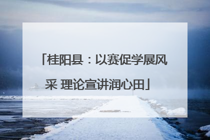 桂阳县：以赛促学展风采 理论宣讲润心田