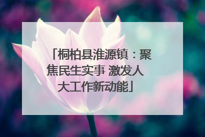桐柏县淮源镇：聚焦民生实事 激发人大工作新动能