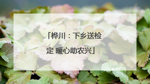 桦川：下乡送检定 暖心助农兴
