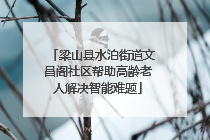 梁山县水泊街道文昌阁社区帮助高龄老人解决智能难题