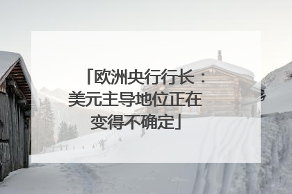 欧洲央行行长：美元主导地位正在变得不确定