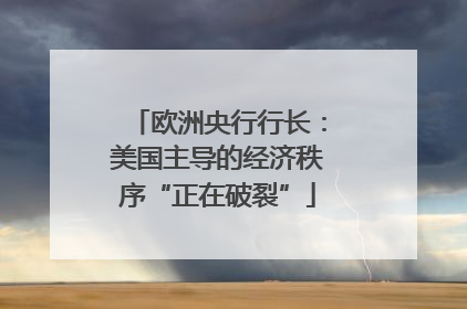 欧洲央行行长：美国主导的经济秩序“正在破裂”