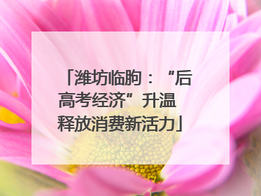 潍坊临朐：“后高考经济”升温 释放消费新活力