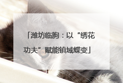 潍坊临朐：以“绣花功夫”赋能镇域蝶变