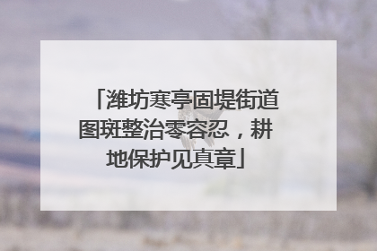 潍坊寒亭固堤街道图斑整治零容忍，耕地保护见真章