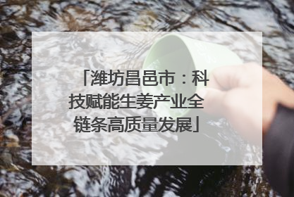 潍坊昌邑市：科技赋能生姜产业全链条高质量发展