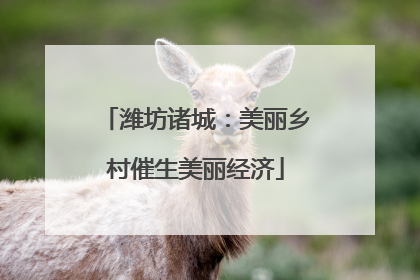 潍坊诸城：美丽乡村催生美丽经济