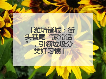 潍坊诸城：街头巷尾“家常话”，引领垃圾分类好习惯