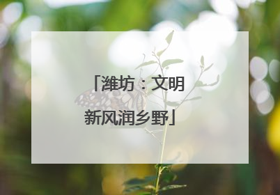 潍坊：文明新风润乡野