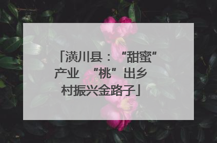 潢川县：“甜蜜”产业  “桃”出乡村振兴金路子
