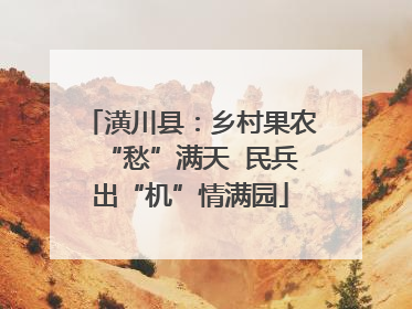 潢川县：乡村果农“愁”满天  民兵出“机”情满园