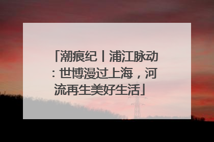 潮痕纪丨浦江脉动：世博漫过上海，河流再生美好生活