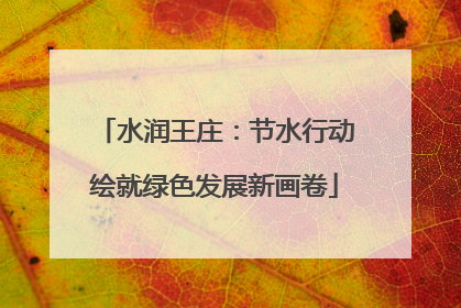 水润王庄：节水行动绘就绿色发展新画卷