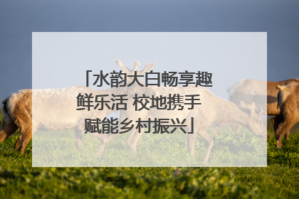 水韵大白畅享趣鲜乐活 校地携手赋能乡村振兴
