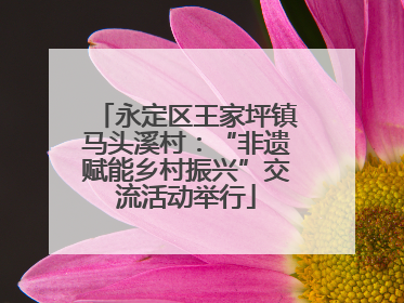 永定区王家坪镇马头溪村：“非遗赋能乡村振兴”交流活动举行